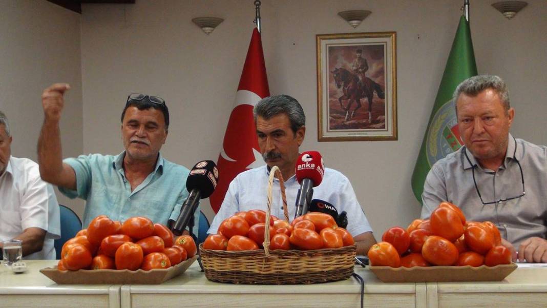 Tarlada 1,7 TL olan domatesin pazardaki fiyatı 'Pes' dedirtti! Üretici isyanda, hiç kimse kazanmıyor 9